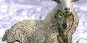 HIPÓCRITAS – RAÇA DE VÍBORAS – CÃES E  PORCOS