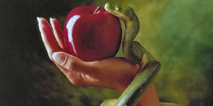 O ENIGMA DA SERPENTE