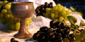 O VINHO NOVO CELESTIAL